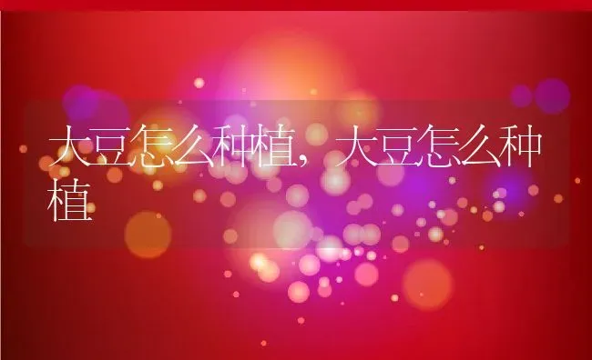 大豆怎么种植,大豆怎么种植 | 养殖常见问题