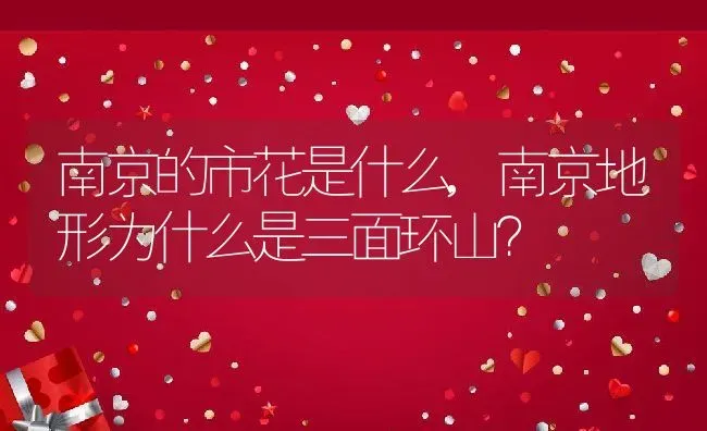 南京的市花是什么,南京地形为什么是三面环山？ | 养殖常见问题