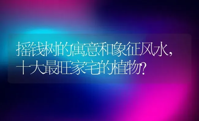 摇钱树的寓意和象征风水,十大最旺家宅的植物？ | 养殖常见问题