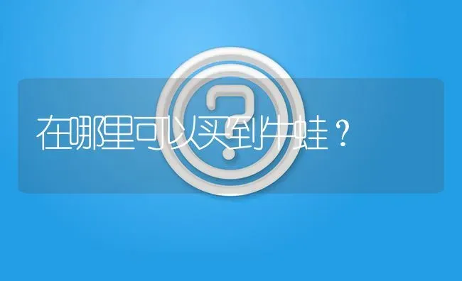 在哪里可以买到牛蛙? | 养殖问题解答