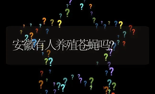 安徽有人养殖苍蝇吗? | 养殖问题解答