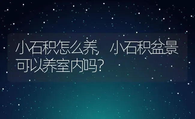 小石积怎么养,小石积盆景可以养室内吗？ | 养殖常见问题