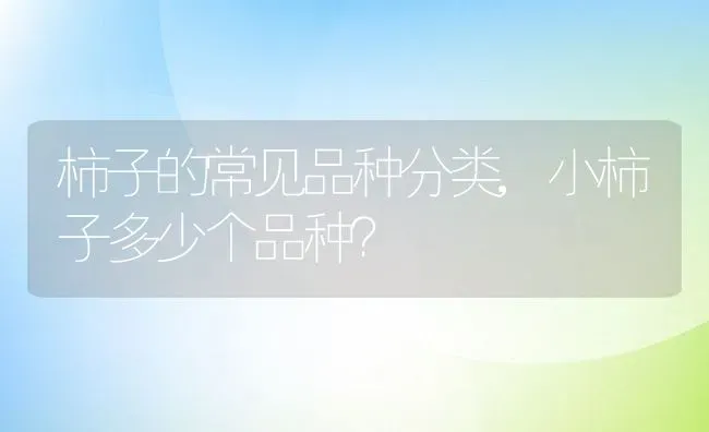 柿子的常见品种分类,小柿子多少个品种？ | 养殖常见问题