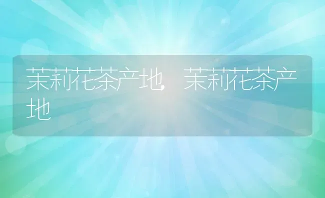茉莉花茶产地,茉莉花茶产地 | 养殖常见问题