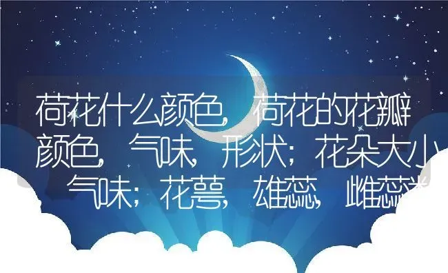 荷花什么颜色,荷花的花瓣颜色,气味,形状;花朵大小,气味;花萼,雄蕊,雌蕊数目 | 养殖常见问题