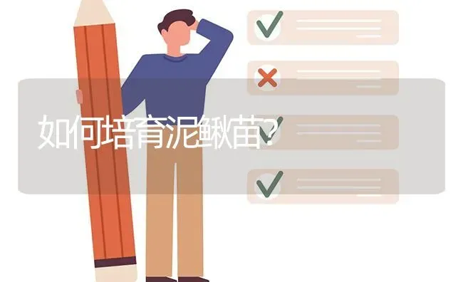 如何培育泥鳅苗? | 养殖问题解答