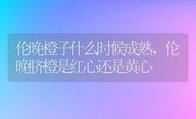 伦晚橙子什么时候成熟,伦晚脐橙是红心还是黄心 | 养殖常见问题