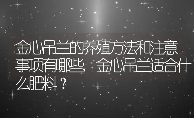 金心吊兰的养殖方法和注意事项有哪些,金心吊兰适合什么肥料？ | 养殖常见问题