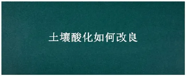 土壤酸化如何改良 | 科普知识