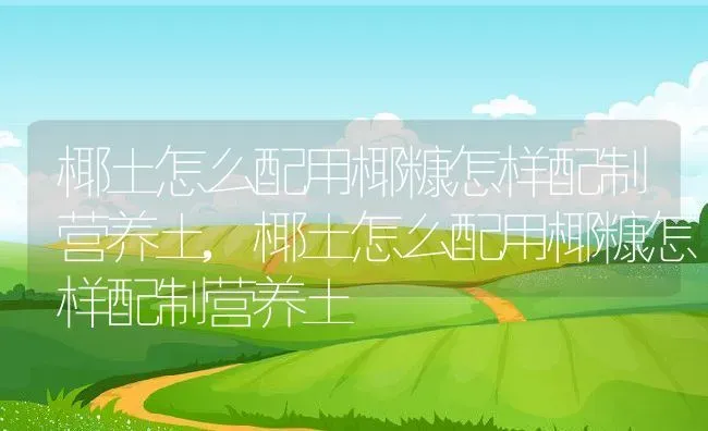 椰土怎么配用椰糠怎样配制营养土,椰土怎么配用椰糠怎样配制营养土 | 养殖常见问题