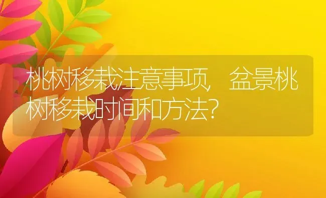 桃树移栽注意事项,盆景桃树移栽时间和方法？ | 养殖常见问题