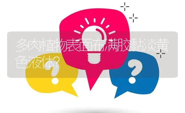 多肉植物表面布满胶黏淡黄色液体? | 养殖问题解答