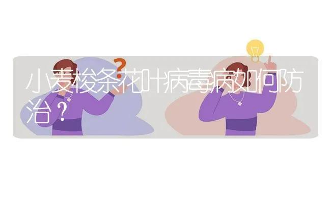 小麦梭条花叶病毒病如何防治? | 养殖问题解答