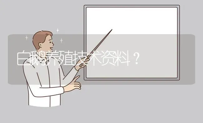 白鹅养殖技术资料? | 养殖问题解答