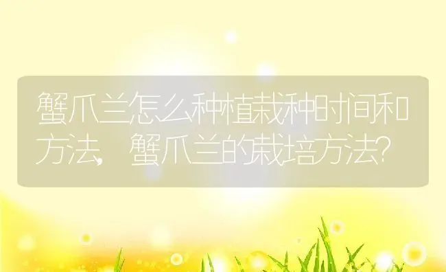 蟹爪兰怎么种植栽种时间和方法,蟹爪兰的栽培方法？ | 养殖常见问题