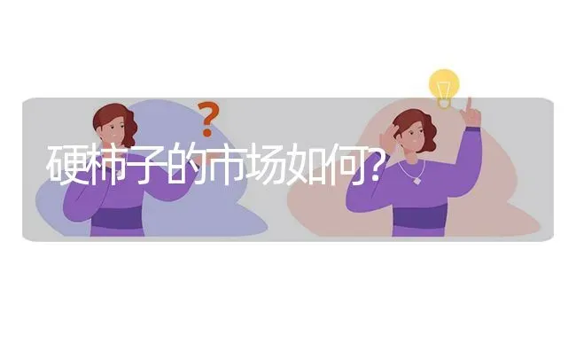 硬柿子的市场如何? | 养殖问题解答