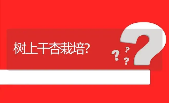 树上干杏栽培? | 养殖问题解答