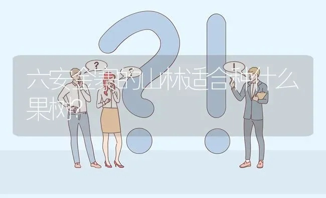 六安金寨的山林适合种什么果树? | 养殖问题解答