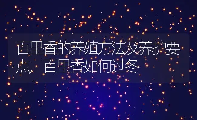 百里香的养殖方法及养护要点,百里香如何过冬 | 养殖常见问题