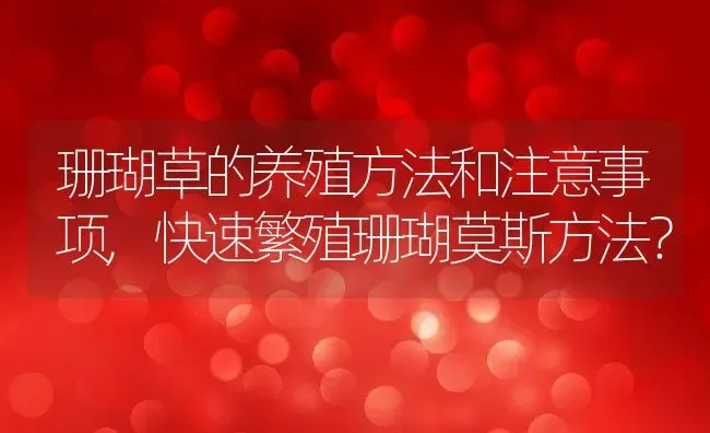 珊瑚草的养殖方法和注意事项,快速繁殖珊瑚莫斯方法？ | 养殖常见问题