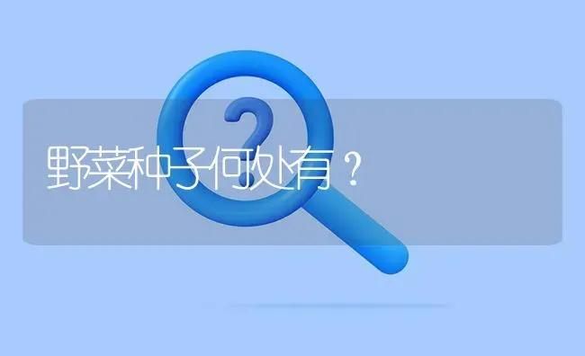 野菜种子何处有? | 养殖问题解答