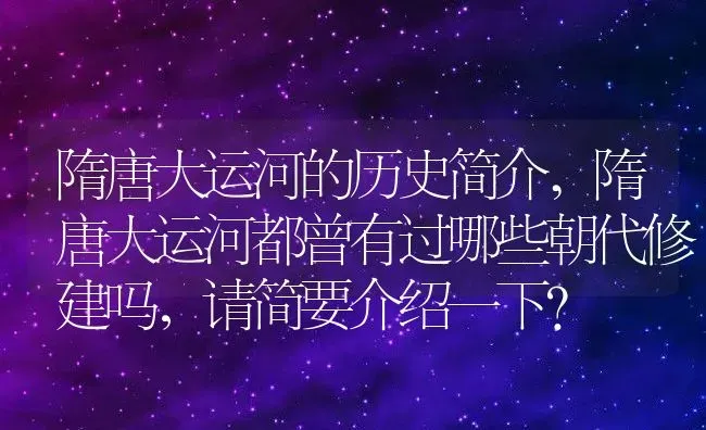 隋唐大运河的历史简介,隋唐大运河都曾有过哪些朝代修建吗，请简要介绍一下？ | 养殖常见问题