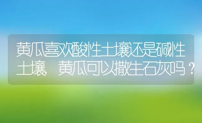 黄瓜喜欢酸性土壤还是碱性土壤,黄瓜可以撒生石灰吗？ | 养殖常见问题