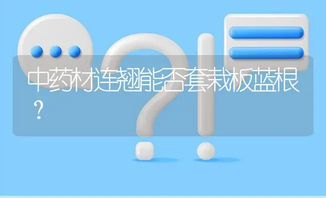 中药材连翘能否套栽板蓝根? | 养殖问题解答