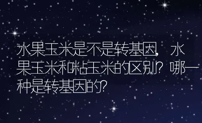 水果玉米是不是转基因,水果玉米和粘玉米的区别？哪一种是转基因的？ | 养殖常见问题