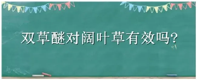 双草醚对阔叶草有效吗 | 农业答疑