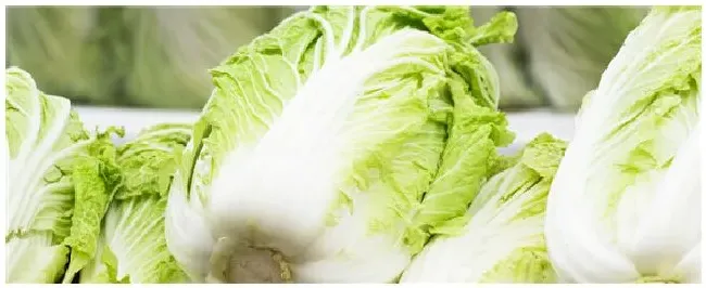 大白菜用什么复合肥 | 农业问题