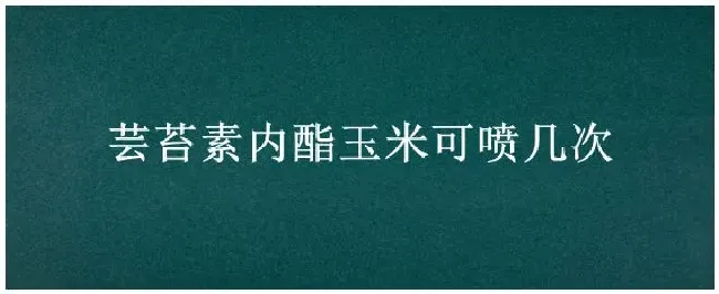 芸苔素内酯玉米可喷几次 | 科普知识