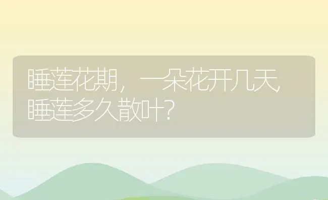 睡莲花期，一朵花开几天,睡莲多久散叶？ | 养殖常见问题