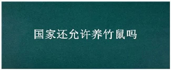 国家还允许养竹鼠吗 | 农业答疑