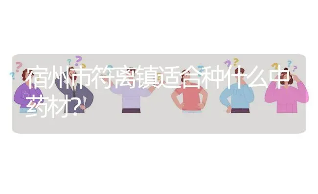 宿州市符离镇适合种什么中药材? | 养殖问题解答