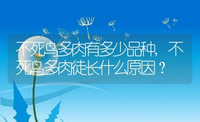 不死鸟多肉有多少品种,不死鸟多肉徒长什么原因？ | 养殖常见问题