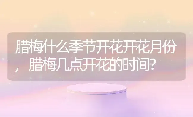 腊梅什么季节开花开花月份,腊梅几点开花的时间？ | 养殖常见问题