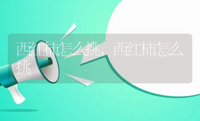 西红柿怎么挑,西红柿怎么挑 | 养殖常见问题