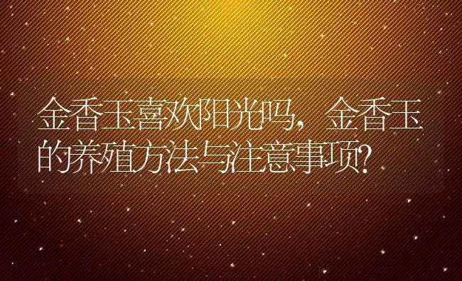 金香玉喜欢阳光吗,金香玉的养殖方法与注意事项？ | 养殖常见问题