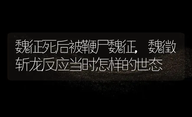 什么时候种萝卜,什么时候种萝卜 | 养殖常见问题