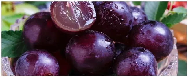 无籽葡萄是转基因吗 | 农业答疑