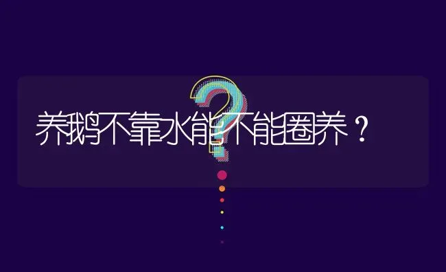 养鹅不靠水能不能圈养? | 养殖问题解答