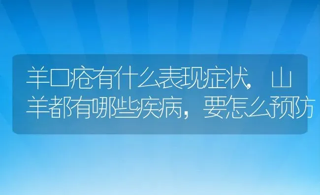 羊口疮有什么表现症状,山羊都有哪些疾病，要怎么预防 | 养殖常见问题