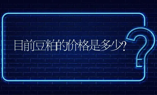 目前豆粕的价格是多少? | 养殖问题解答