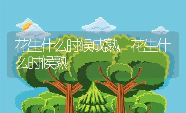 花生什么时候成熟,花生什么时候熟 | 养殖常见问题