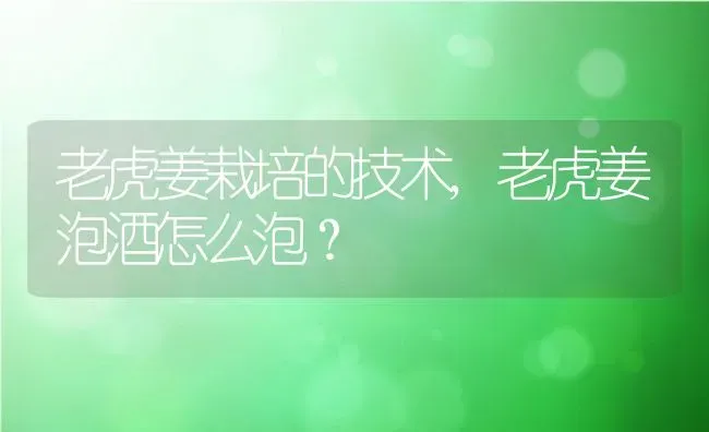 老虎姜栽培的技术,老虎姜泡酒怎么泡？ | 养殖常见问题