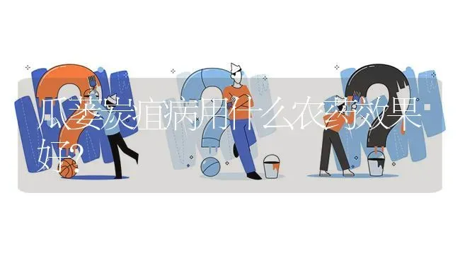 瓜蒌炭疽病用什么农药效果好? | 养殖问题解答