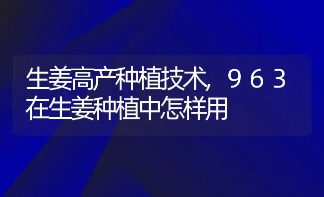 生姜高产种植技术,963在生姜种植中怎样用 | 养殖常见问题