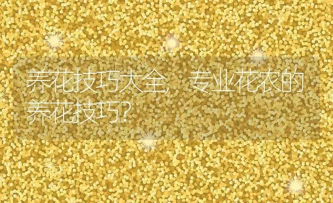 养花技巧大全,专业花农的养花技巧？ | 养殖常见问题