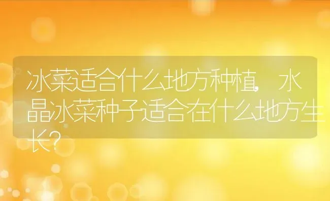 冰菜适合什么地方种植,水晶冰菜种子适合在什么地方生长？ | 养殖常见问题